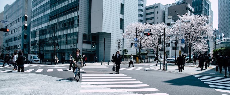 「追赶跑跳碰 」2019国语在线观看